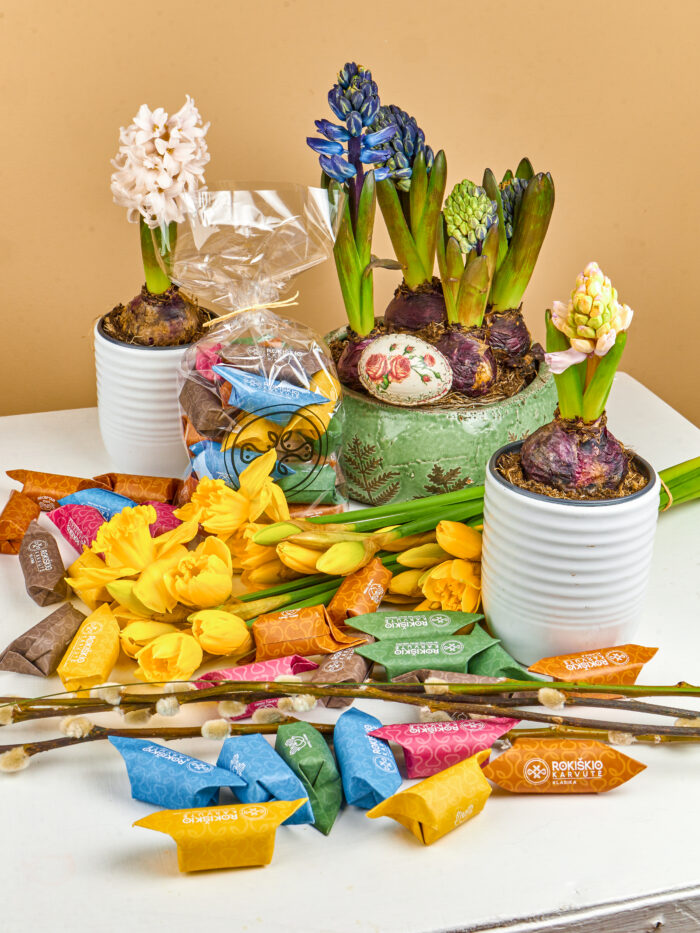 „velykinĖ rokiškio karvutė“