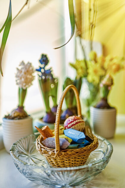 „velykinĖ rokiškio karvutė“